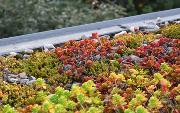 the cost of Wesham green roof installation