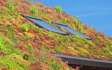 Wesham living roof systems