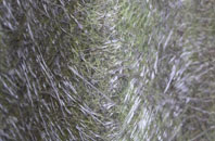 Wesham fibreglass roof work